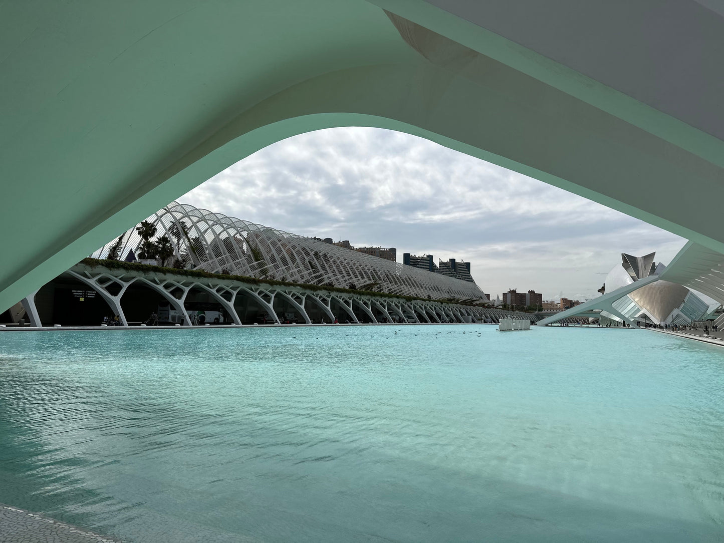 Valencia Like a Local Experience