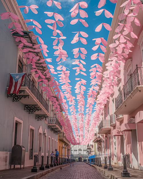 San Juan. Puerto Rico Shore Excursions