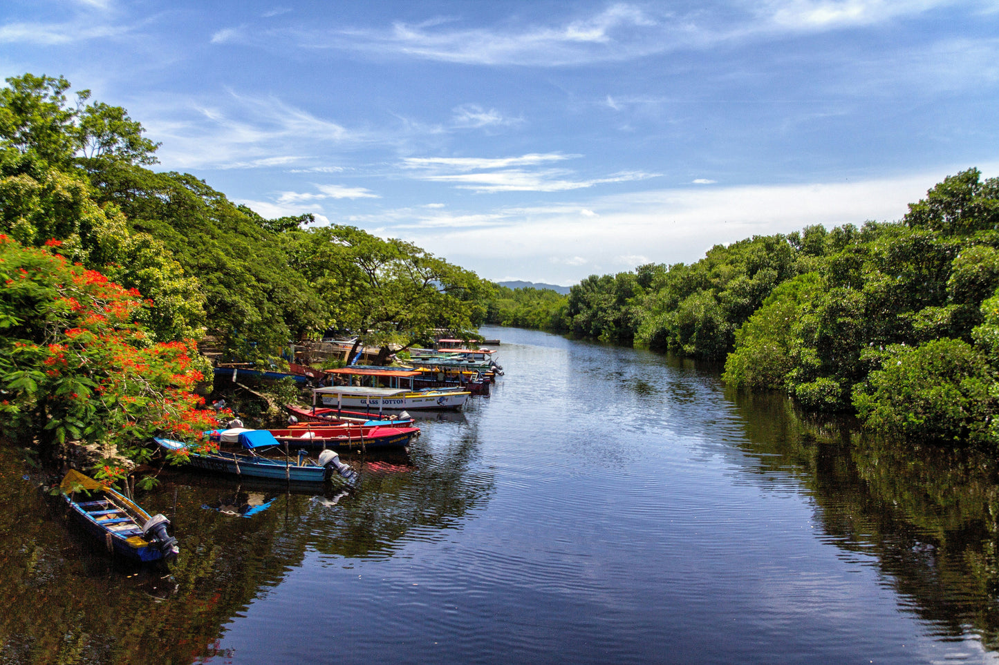 Kingston Jamaican. Like a Local Shore Excursions