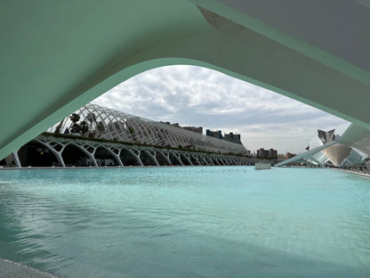 Barcelona Christmas Experience