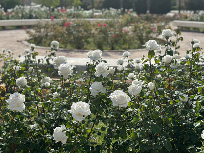 Super-Elite Private Valencia Shore Excursion