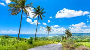 Nassau. Bahamas Christmas Special Shore Excursions