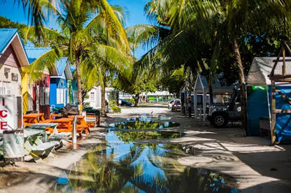 Barbados Christmas Special Shore Excursions