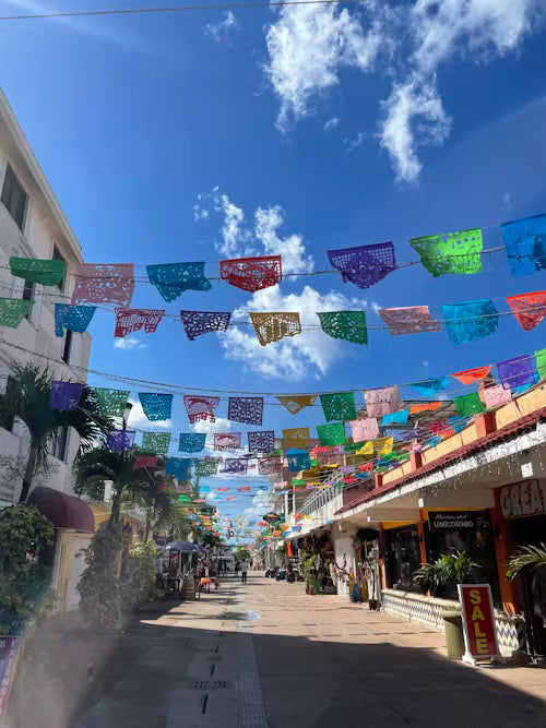 Cozumel Shore Excursions. Mexico.
