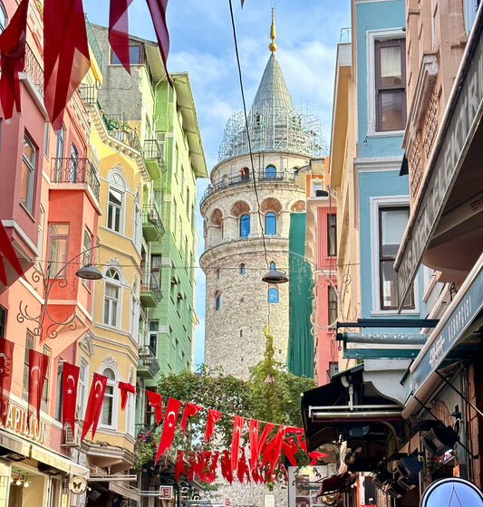 Istanbul With Arabic Influence! Like a Local Shore Excursions