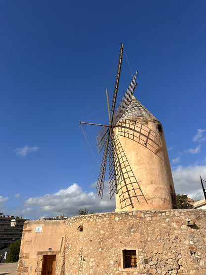 Mallorca shore excursions